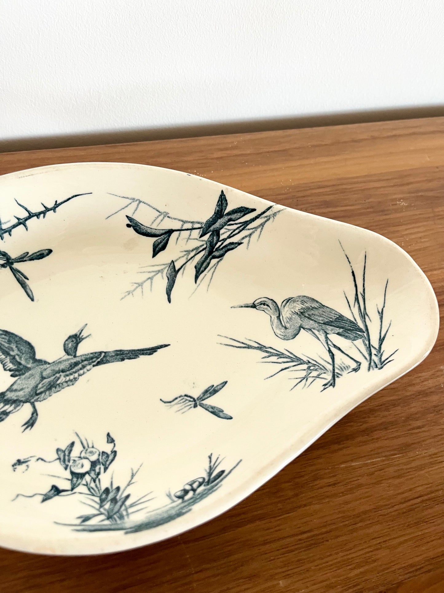 🌿 Légumiers anciens Lunéville – Décor oiseaux & marais