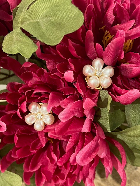 Bijoux de boutons Nacré