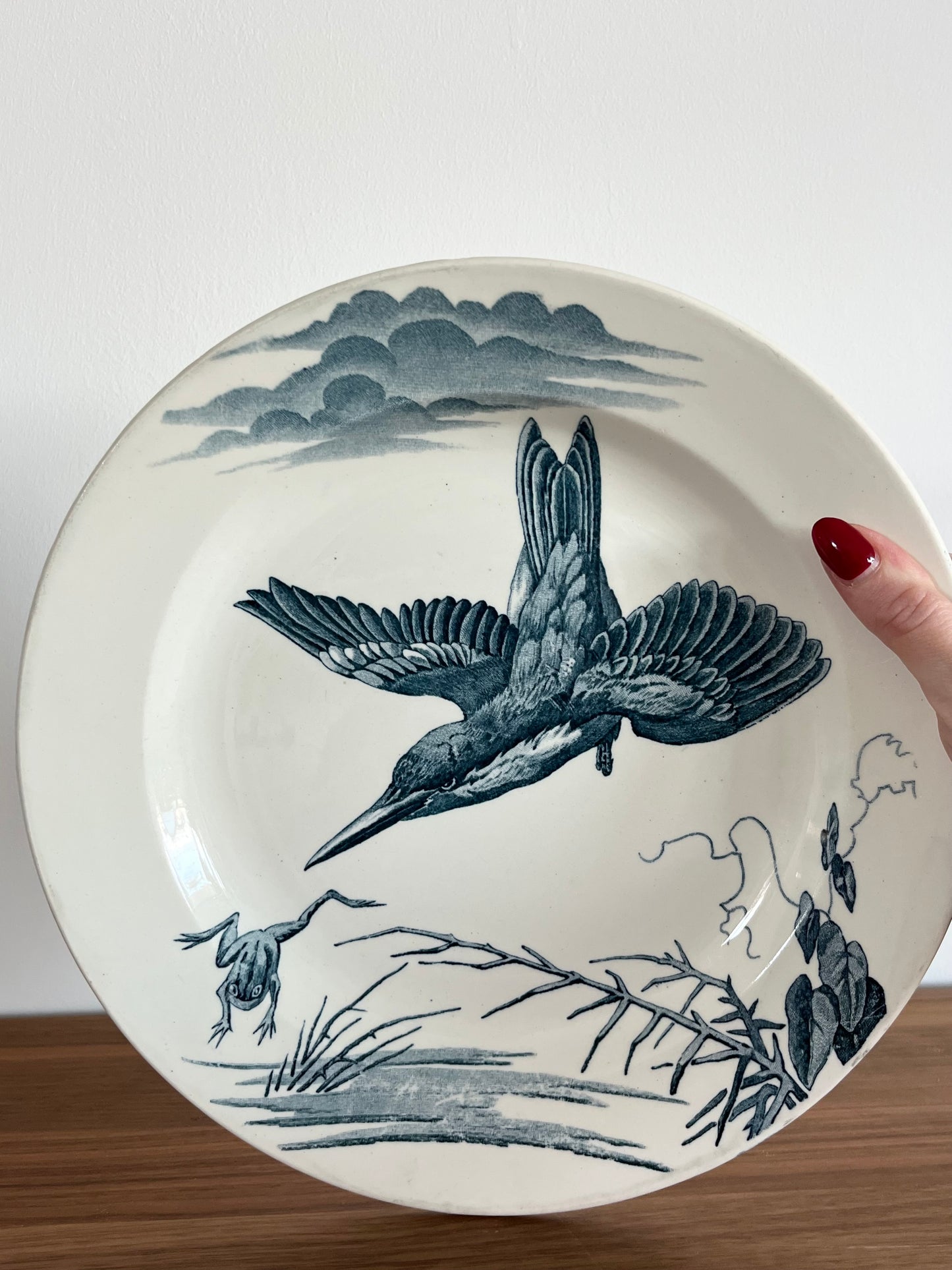 🌿 Grande assiette ancienne Lunéville