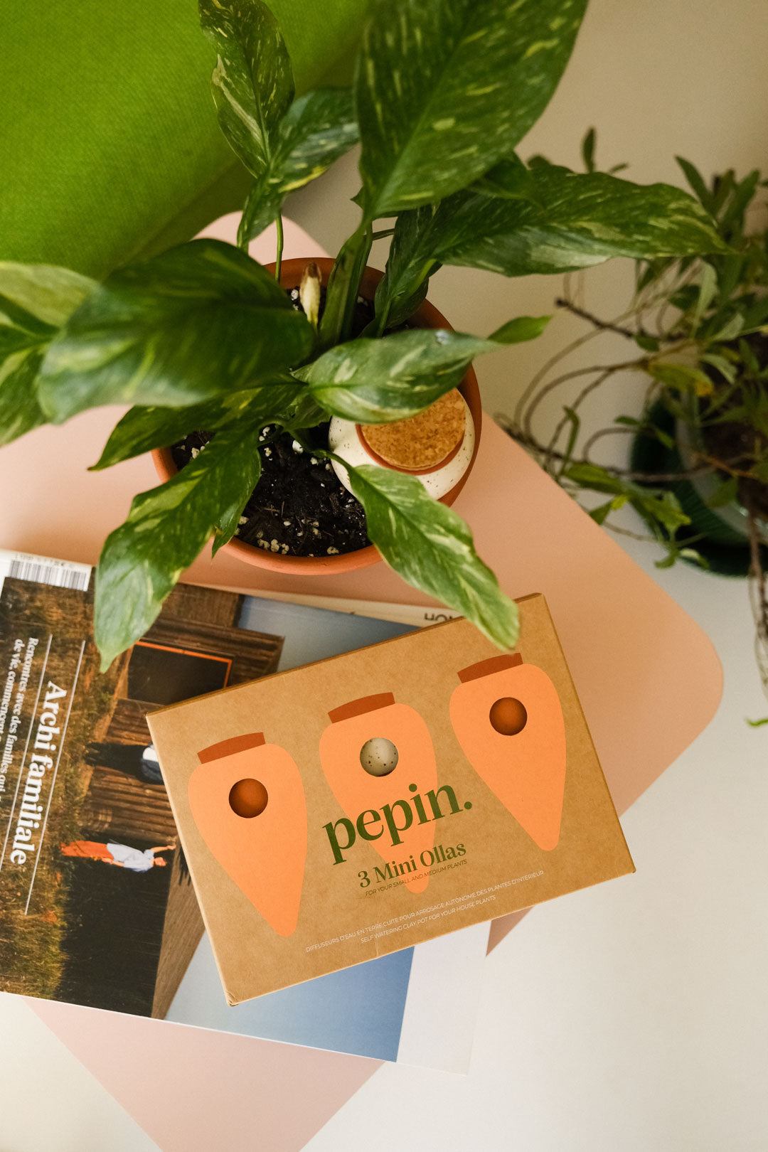 Trio mini Ollas - Terracotta et grainés