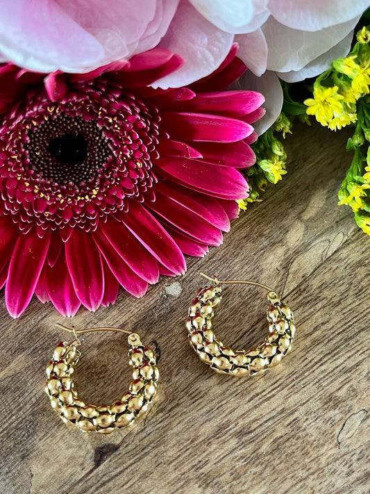 Boucles d’oreilles dorées écailles
