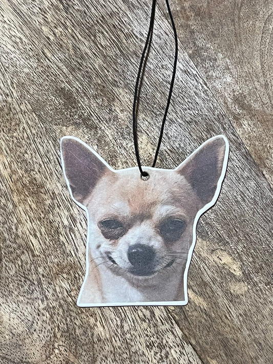 Sentorette voiture chihuahua