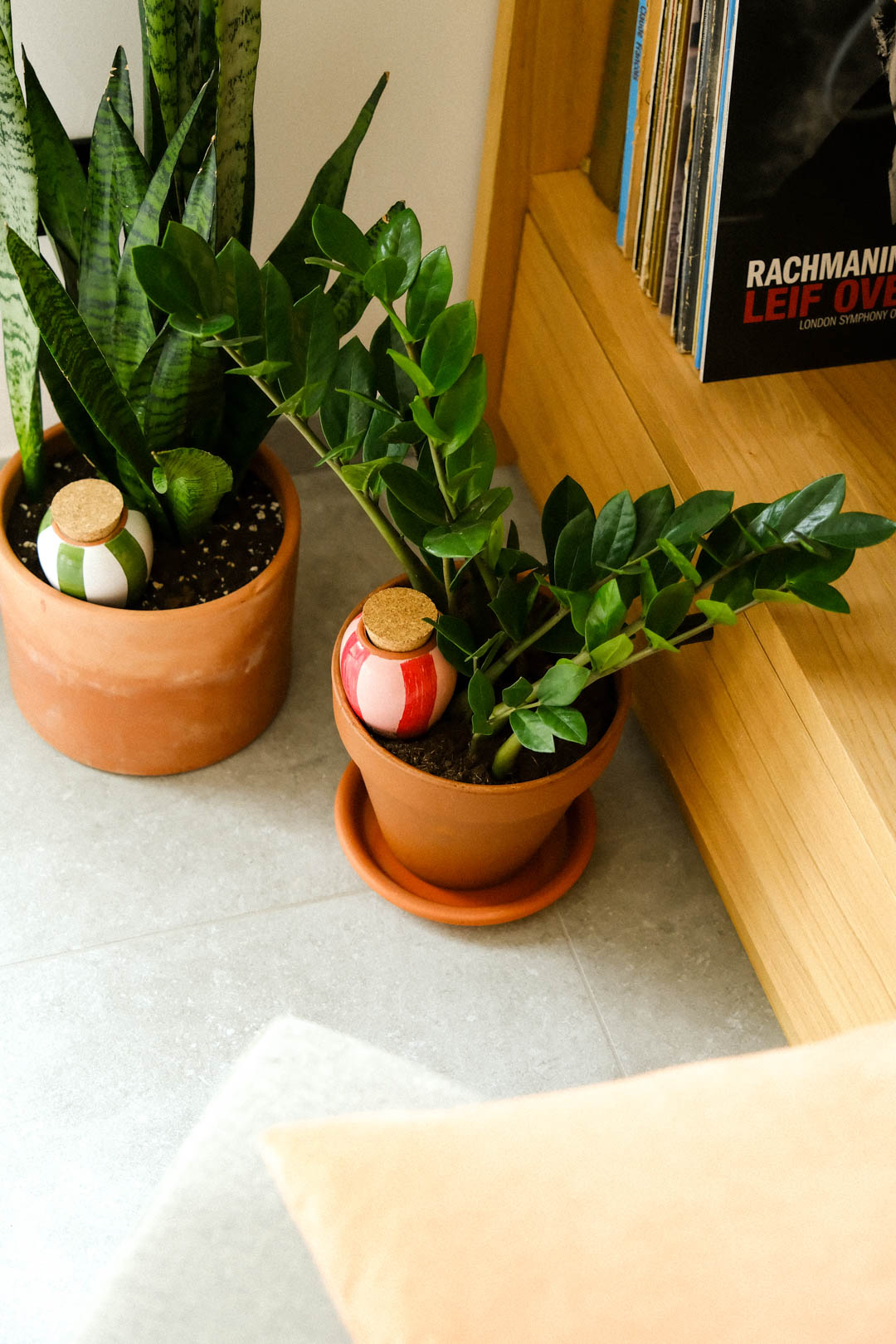 Olla - Rayé rose&rouge