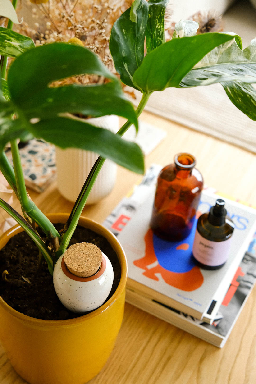 Olla - Blanc grainé