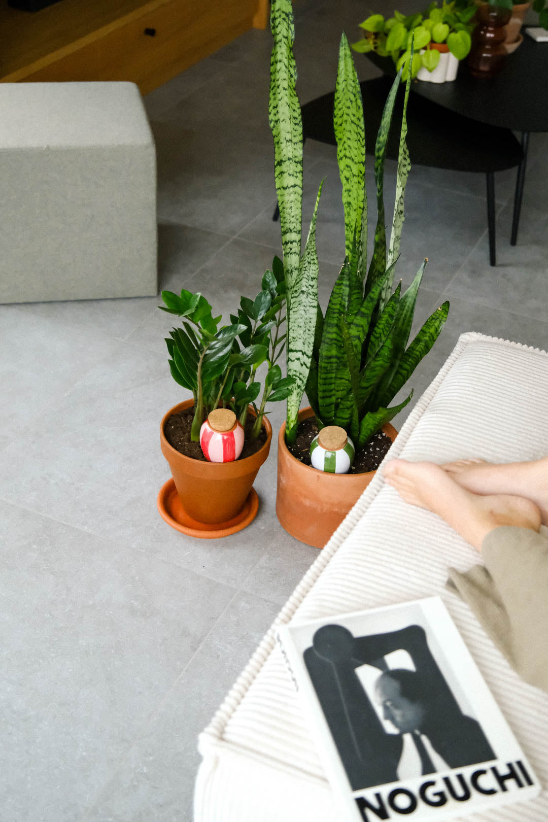 Olla - Rayé rose&rouge