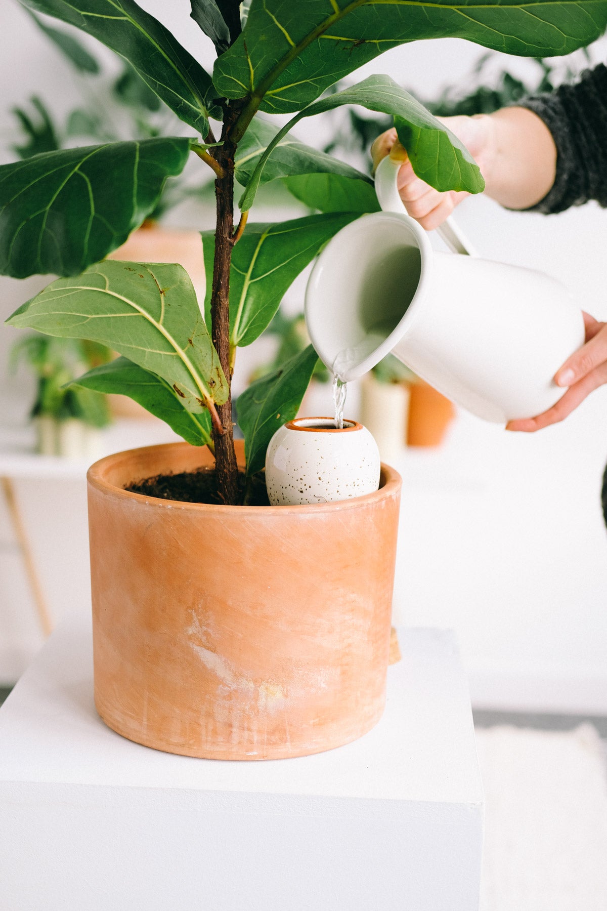 Olla - Blanc grainé