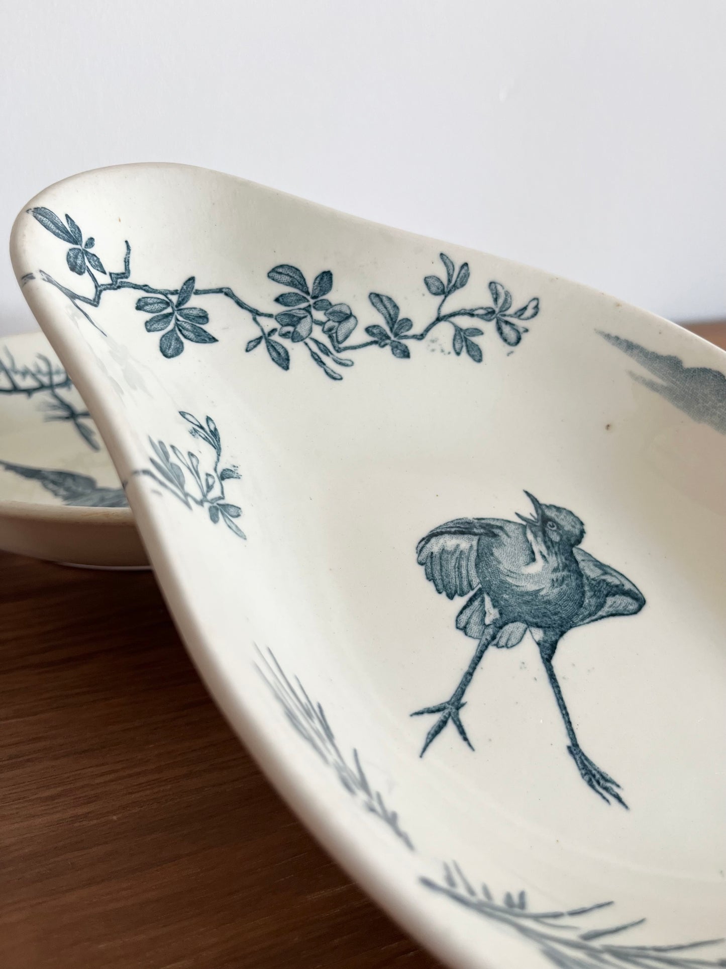 🌿 Légumiers anciens Lunéville – Décor oiseaux & marais