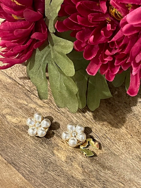 Bijoux de boutons Nacré