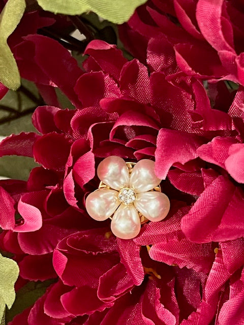 Bijoux de boutons Nacré