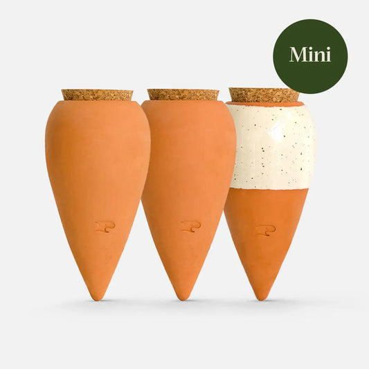 Trio mini Ollas - Terracotta et grainés